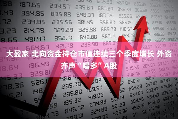 大盈家 北向资金持仓市值连续三个季度增长 外资齐声“唱多”A股
