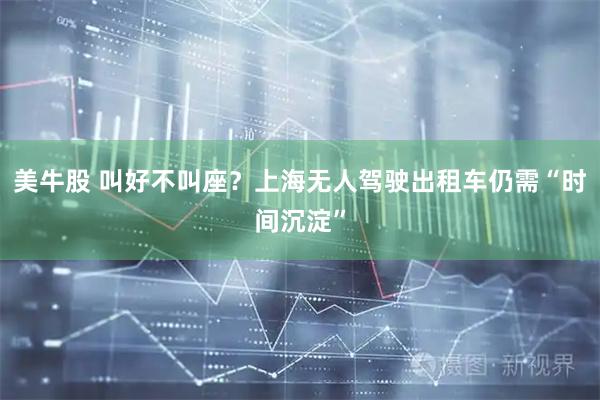 美牛股 叫好不叫座？上海无人驾驶出租车仍需“时间沉淀”