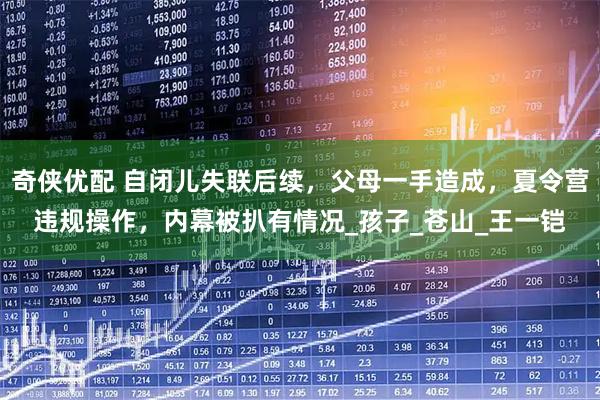 奇侠优配 自闭儿失联后续，父母一手造成，夏令营违规操作，内幕被扒有情况_孩子_苍山_王一铠