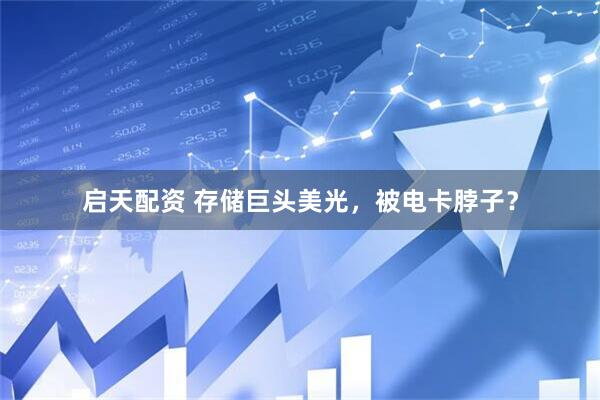 启天配资 存储巨头美光，被电卡脖子？