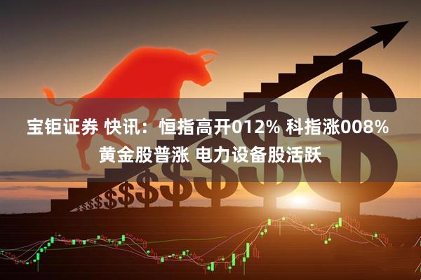 宝钜证券 快讯：恒指高开012% 科指涨008% 黄金股普涨 电力设备股活跃
